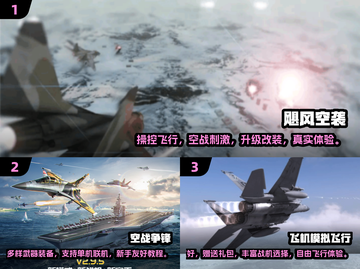 2024🔥飞行游戏TOP5榜单来袭✈截图2