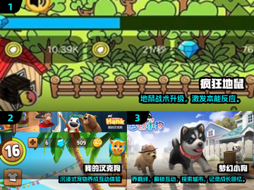 🐾狗狗超爱的100种游戏大公开！🔥截图2