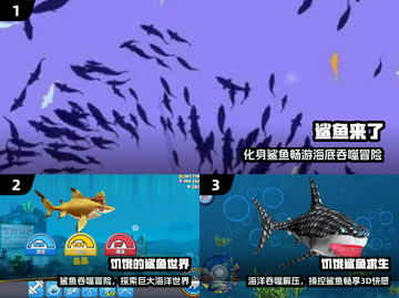 鲨鱼游戏TOP5🔥超刺激体验！🦈截图2