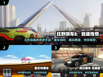 🔥2025经典赛车游戏合集💥超燃竞速体验🏎截图2