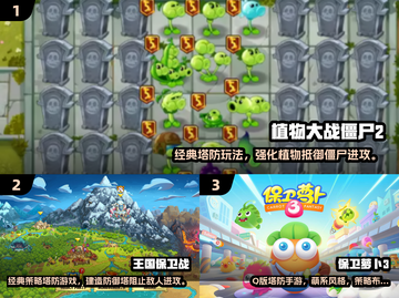 中国网游玩家必玩！80后经典塔防游戏推荐🔥🎮截图2