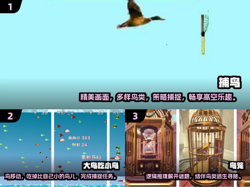 捕鸟乐趣无穷🎉2024超耐玩手游大全截图2