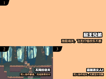 🔥2025双人联机神作TOP榜🎮截图2