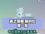 森之国度🔥猫咪隐藏位置大揭秘！🐾
