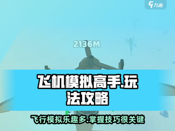 飞机模拟高手✈：超好玩攻略大揭秘！截图1