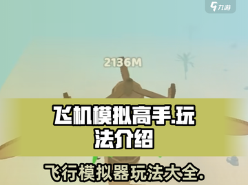 飞机模拟高手✈玩法大揭秘，新手必看！截图1