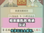 祖宗模拟器🔥传承玩法大揭秘，游戏代入感超强！