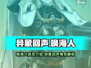 异象回声唤海人🔥游戏探员详细介绍来啦！