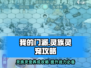 我的门派🔥灵族灵宠超强攻略来袭！🎮