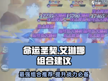 命运圣契：艾琳娜最强组合🔥一招制胜！截图1