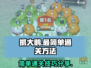 抓大鹅简单通关🔥《鹅鸭杀》必备技巧🎉