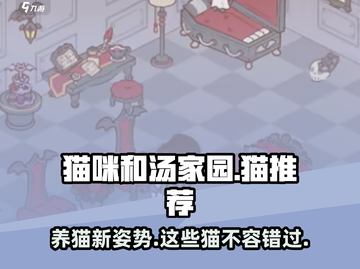 猫咪vs汤家园哪个好养？🔥《猫咪后院》最适合养的猫推荐！🐱截图1