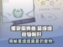 螺旋圆舞曲：莫缇缇食物偏好大揭秘🎉