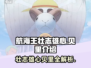 航海王热血航线🔥贝里获取全攻略💰