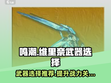 鸣潮🔥维里奈武器选择全攻略！✨截图1