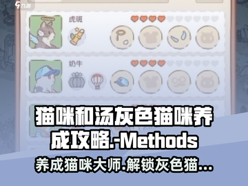 猫咪和汤：灰色猫咪养成秘籍💥🎮截图1