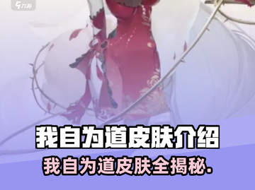 《我自为道》皮肤全揭秘💥🎮截图1