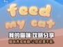 我的猫咪游戏🔥超全玩法攻略分享！撸猫达人必看！