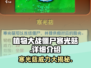 植物大战僵尸：寒光菇✨超强攻略，杂交版蘑菇王者来袭！