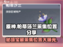 原神💎帕蒂莎兰采集位置全攻略！必看🎯