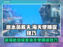 潜水员戴夫海天使位置捕捉技巧分享🔥🎮