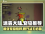 迷雾大陆🔥宠物推荐：带它称霸大陆！🐾