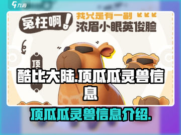 酷比大陆顶瓜瓜🔥灵兽信息全揭秘🎮截图1