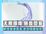 无限暖暖📖鱼类大揭秘！🐟游戏党必看🔥