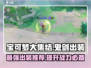 宝可梦大集结🔥鬼剑出装攻略🌟最新最强搭配！