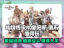 仙境传说RO新启航🔥超好玩值得入坑！🎮