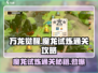 万龙觉醒🔥魔龙试炼通关秘籍🎉