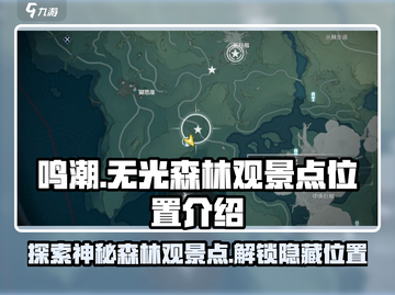 鸣潮🔥无光森林观景点位置攻略📍截图1