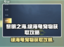 黎明之海绿海龟宠物获取🔥超详细攻略来啦！🐢