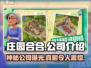 庄园合合🔥爆款游戏来袭！开发公司大揭秘🎉