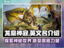龙息神寂英文名🔥你绝对猜不到是它！🎮