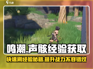 鸣潮⚡快速刷声骸经验的秘诀来了！💥截图1
