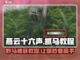 燕云十六声🔥抓马教程：轻松捕获你的战马🐎