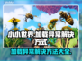 小小世界加载卡顿？❌解决方法来了！⚡