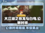 大江湖之苍龙与白鸟🔥公测时间终于曝光啦！💥