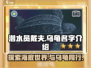潜水员戴夫🔥乌龟名字大揭秘！🎮