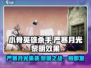 小骨英雄杀手严寒月光的黎明💥超强效果游戏名必备！