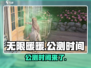 无限暖暖⚡几测了？公测时间终于曝光！🔥