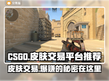 CS:GO玩家必看！🔥顶级皮肤交易平台大揭秘💰截图1