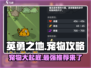 英勇之地🔥必练宠物排行榜！🎮宠物控不容错过✨