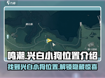 鸣潮🔥兴白小狗位置大起底！🐾快来找寻萌宠所在地！截图1