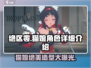绝区零猫娘🔥超详细角色介绍来啦！🎮