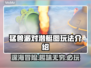 动物派对潜艇图超好玩🎉游戏党必看！