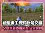 吃鸡账号交易平台推荐 PUBG玩家必看！💥