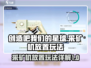我们的星球🔥采矿机放置玩法大揭秘❗