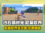 《沙石镇时光》尼莫收养全攻略💎